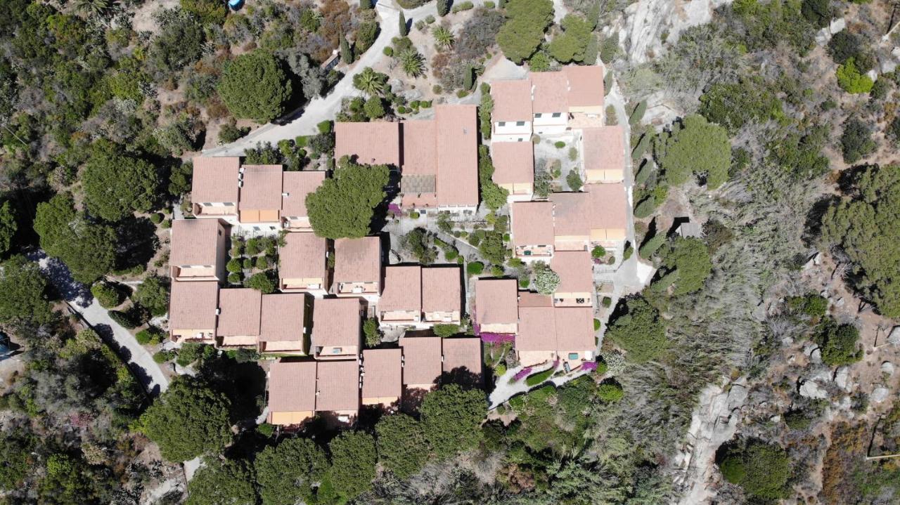 Apartamento Route 25 - Cavoli - Vista Mare, Con Clima, Terrazza E Posto Auto Spiaggia di Cavoli Exterior foto